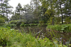 11-8-10rokuka6.jpg