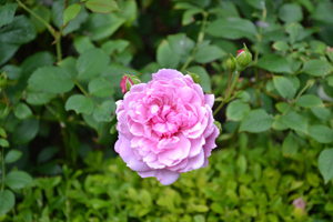 11-8-23r17.jpg