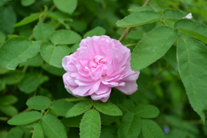 11-8-23r8.jpg
