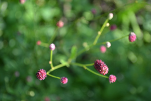 11-8-7b.jpg