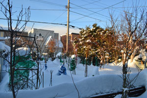 12-1-12a.jpg