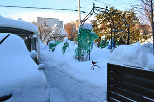 12-1-12b.jpg