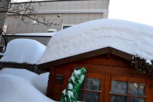 12-1-12d.jpg