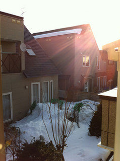 12-3-10a.jpg