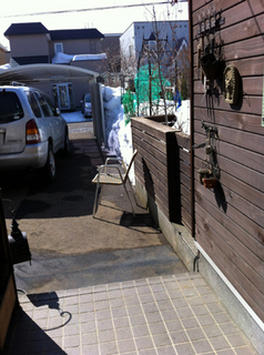12-3-10b.jpg