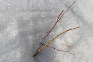 12-3-14b.jpg