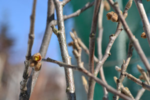 12-3-14c.jpg