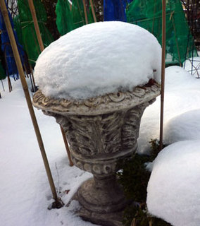 2011-12-15a.jpg