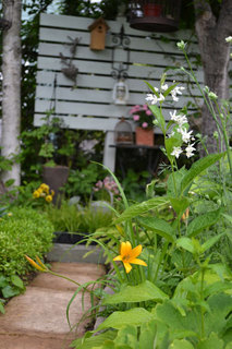 2011-6-11-2012.jpg
