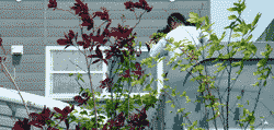 RIMG8033.gif