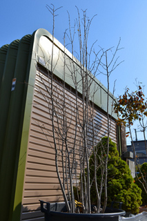 aohada10-14.jpg