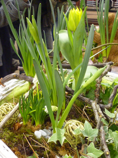 bulb3.jpg