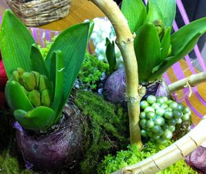 bulb5.jpg