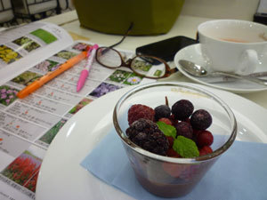 cafe1.jpg