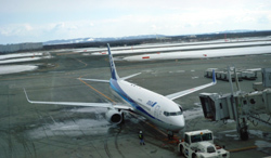 chitose2.jpg