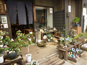 ginza2.jpg