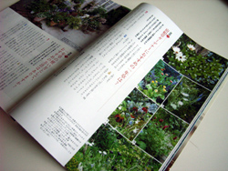 mylofe2006-12-25b.jpg