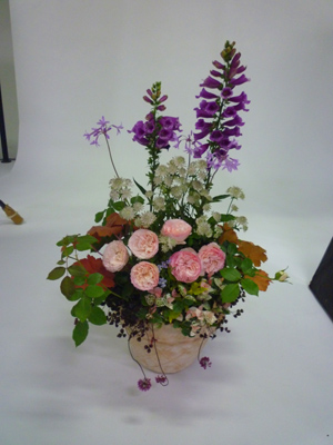 mylofe2010-7-8a.jpg