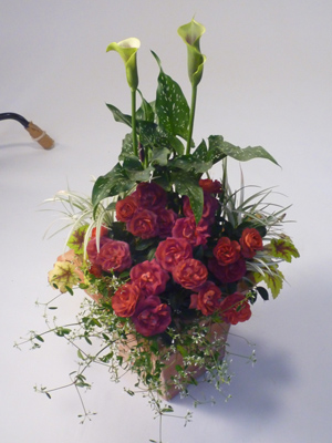 mylofe2010-7-8b.jpg