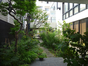 n-garden3.jpg