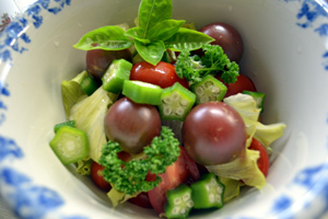 tomato33.jpg