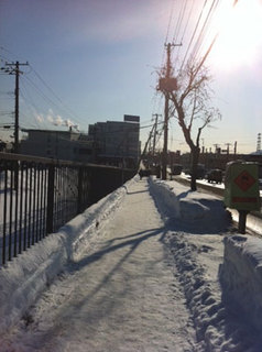 walk3.jpg