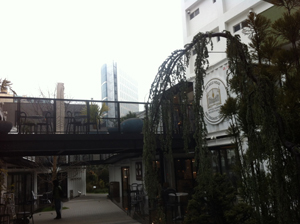 yoyogi4.jpg